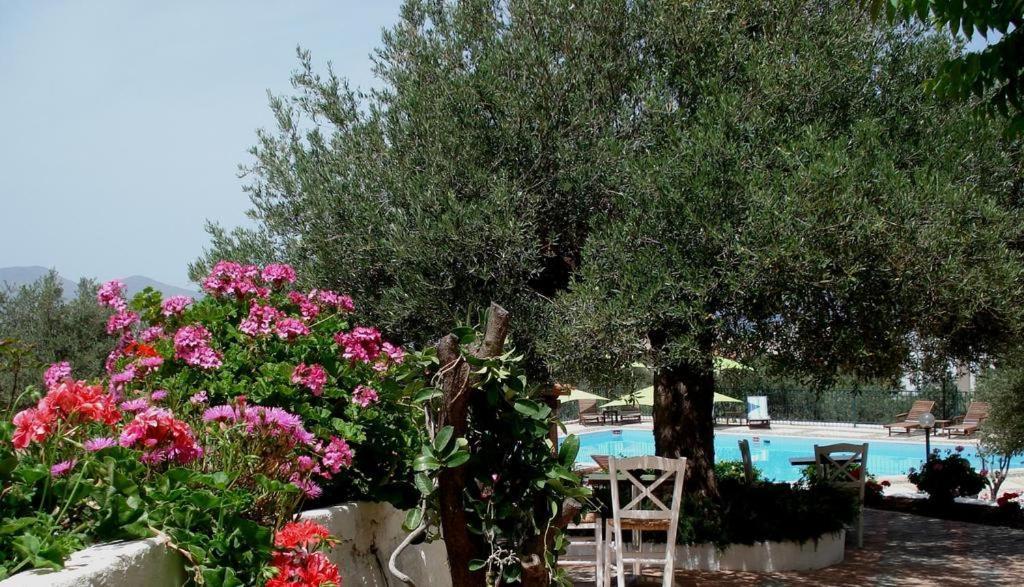 Amoudara  Katerina Charming Place מראה חיצוני תמונה