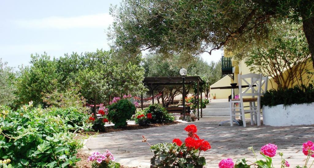 Amoudara  Katerina Charming Place מראה חיצוני תמונה