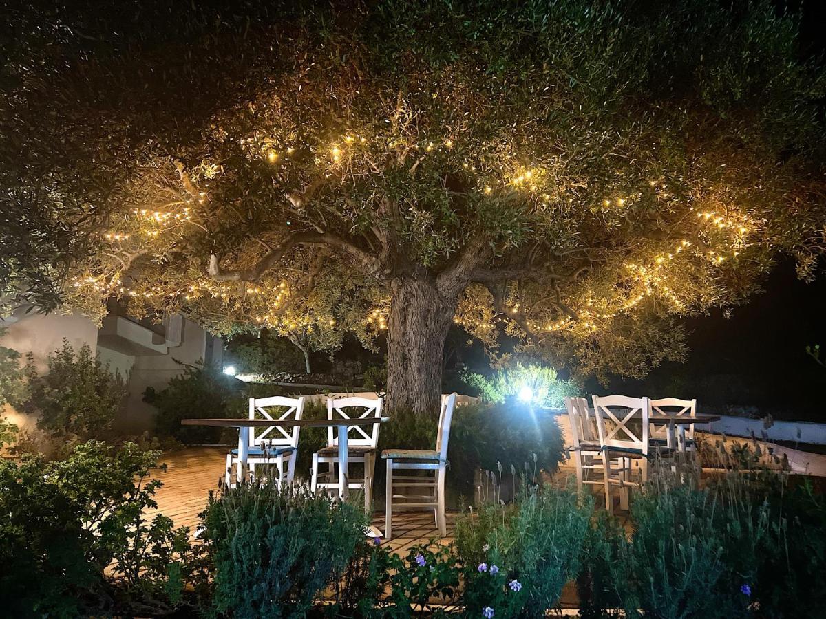 Amoudara  Katerina Charming Place מראה חיצוני תמונה